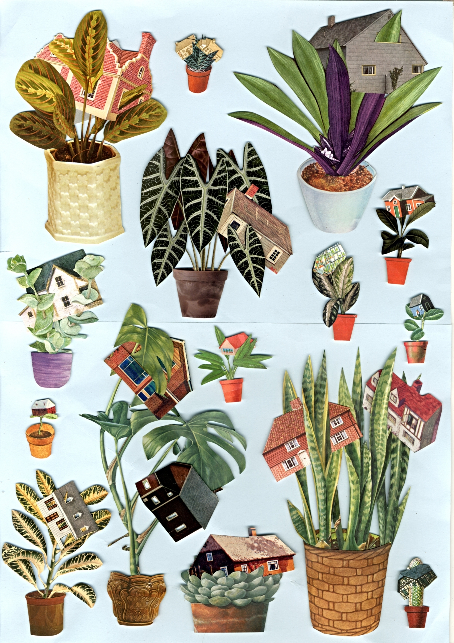 Houseplants2.jpg