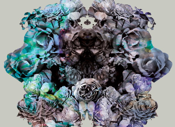 Black Garden