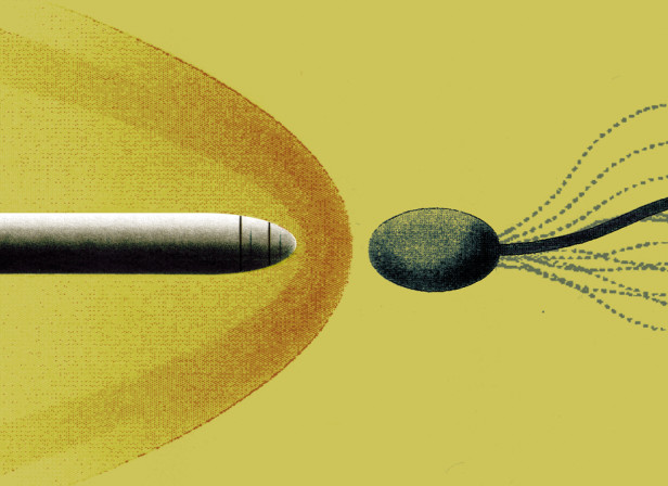 Sperm Warhead