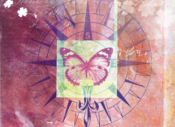 Butterfly Love Emotional and Spiritual Journey
